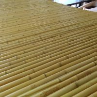 Bamboo