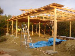 Japanese Carpentry