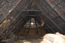 Japanese Traditional roof