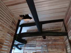 Japanese Carpentry