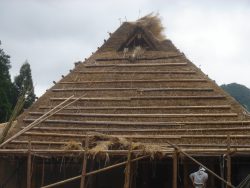 Traditional Japanese roof